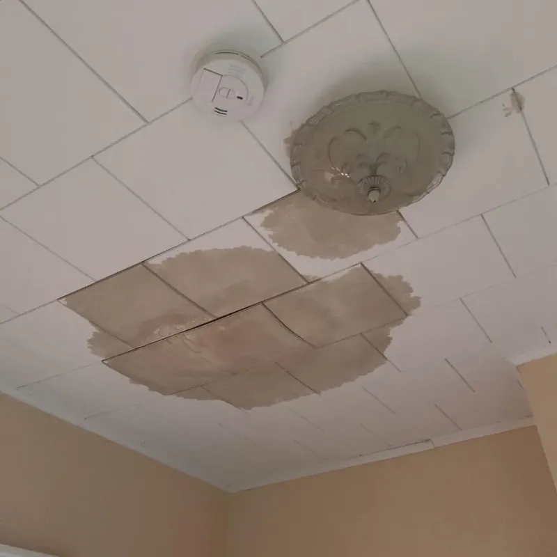 Ceiling Water Damage Repair in West Vero Corridor, FL
